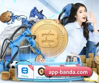 半岛综合 APP